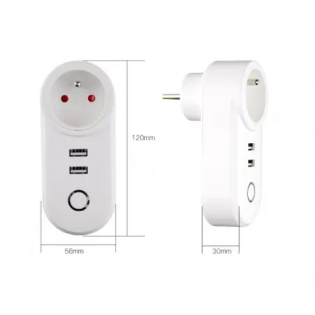 پریز هوشمند دوشاخه دار MOES با 2 خروجی USB - پروتکل زیگبی